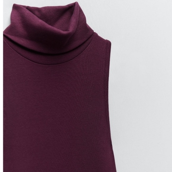 Zara Plum High neck Ribbed Bodycon Maxi Dress Size Small ( NWOT) - Picture 8 of 14